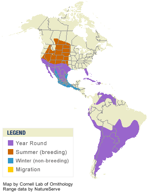 Burrowing Owl Range