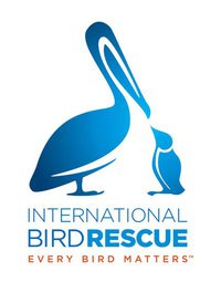 wiel life rescue birds